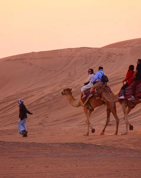 camel-safari-img-2