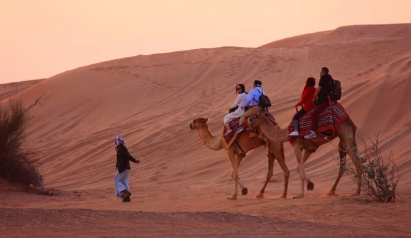 camel-safari-img-2